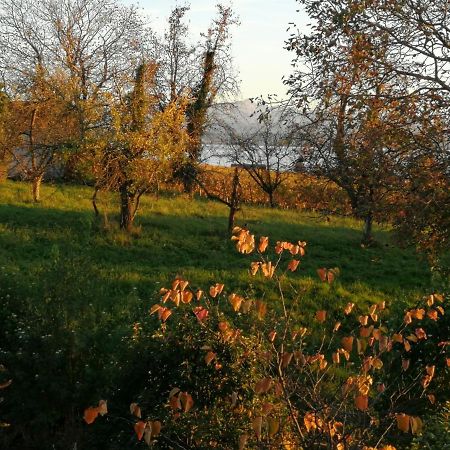 Ferienwohnung Haus Meersburg Garten Exterior foto