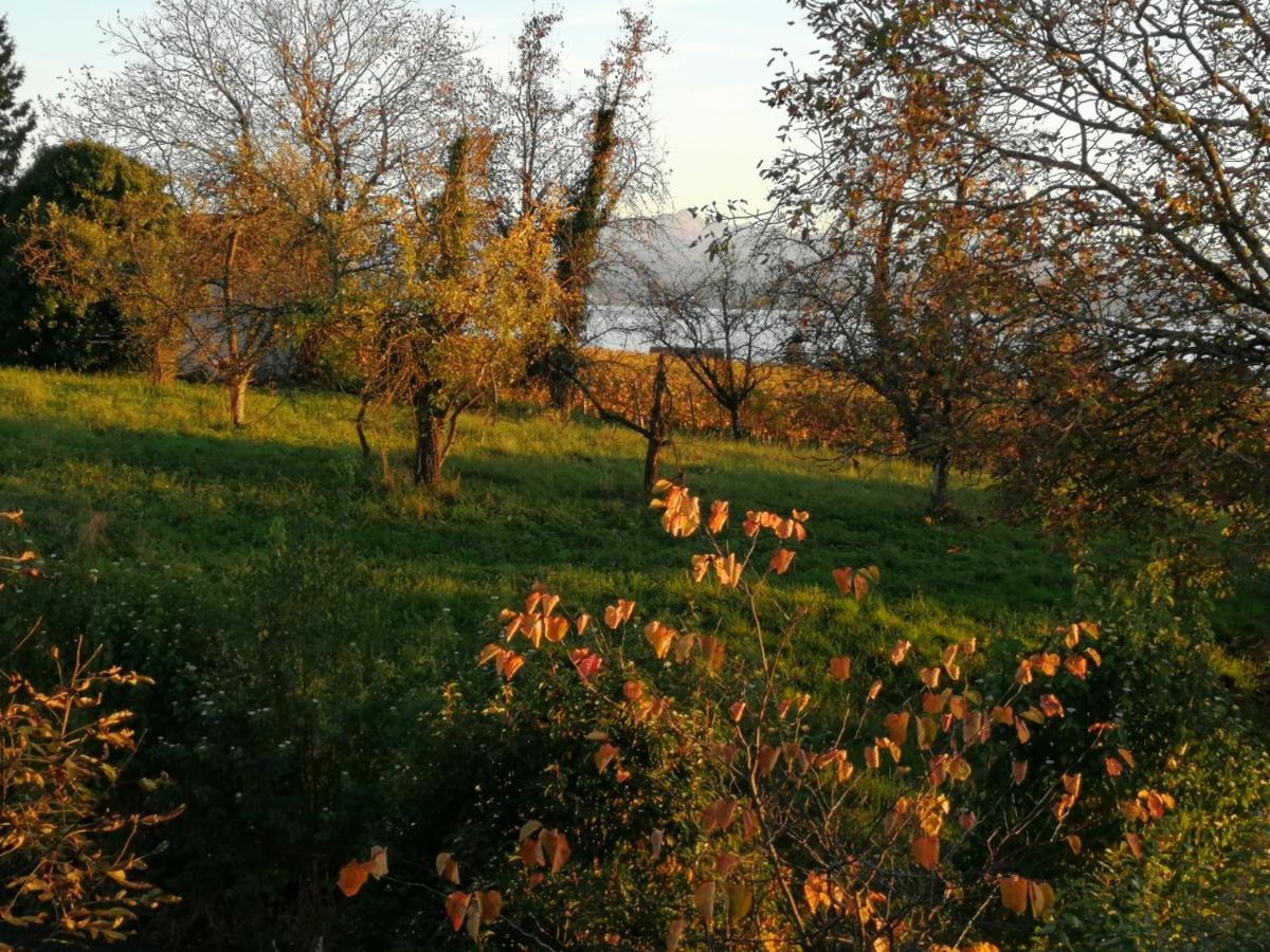 Ferienwohnung Haus Meersburg Garten Exterior foto