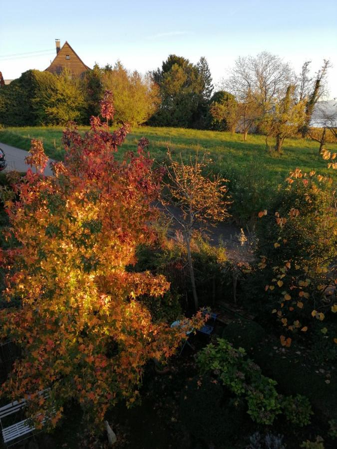 Ferienwohnung Haus Meersburg Garten Exterior foto