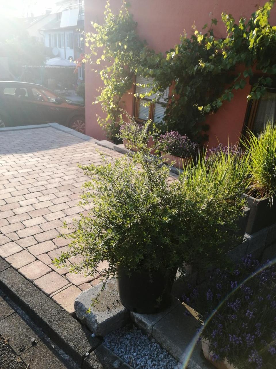 Haus Meersburg Garten Exterior foto