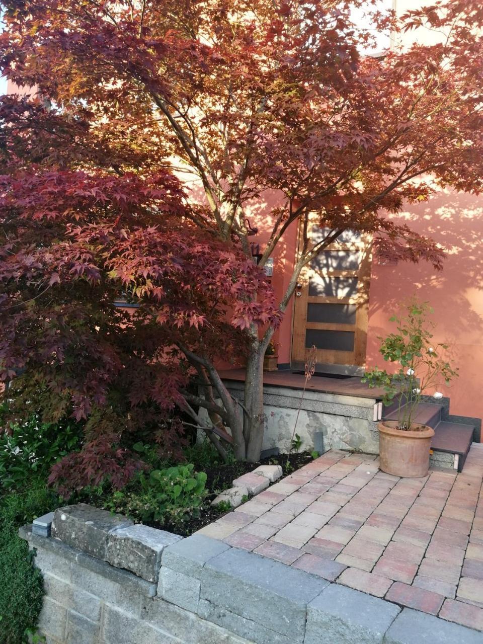 Ferienwohnung Haus Meersburg Garten Exterior foto