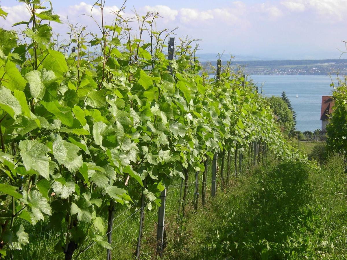 Ferienwohnung Haus Meersburg Garten Exterior foto