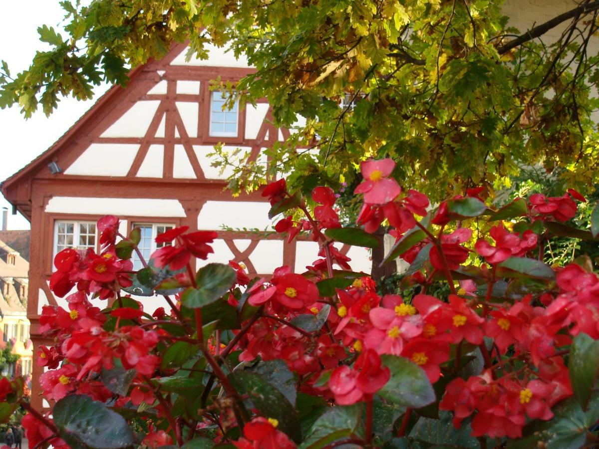 Ferienwohnung Haus Meersburg Garten Exterior foto